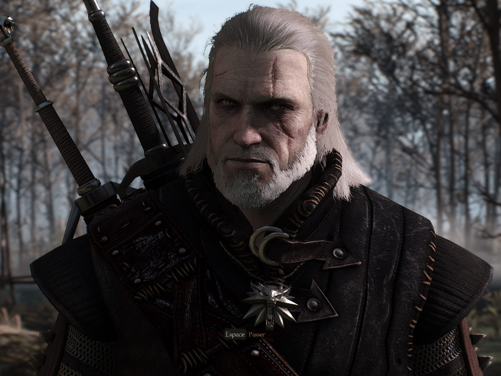 The witcher 3 with geralt doppler фото 117