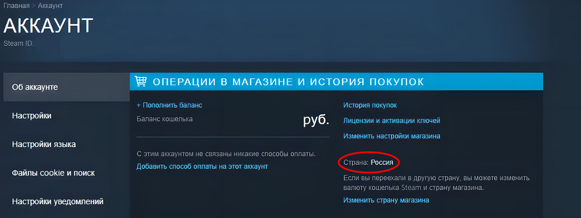 Настройки магазина steam. Турецкий аккаунт стим. Казахские аккаунт стим. Аккаунт стим Турция. Регион аккаунта стим.