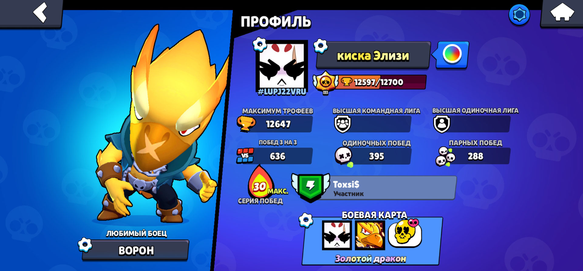 Ак в бс Brawl Stars, купить у продавца Matveig — PayGame.ru