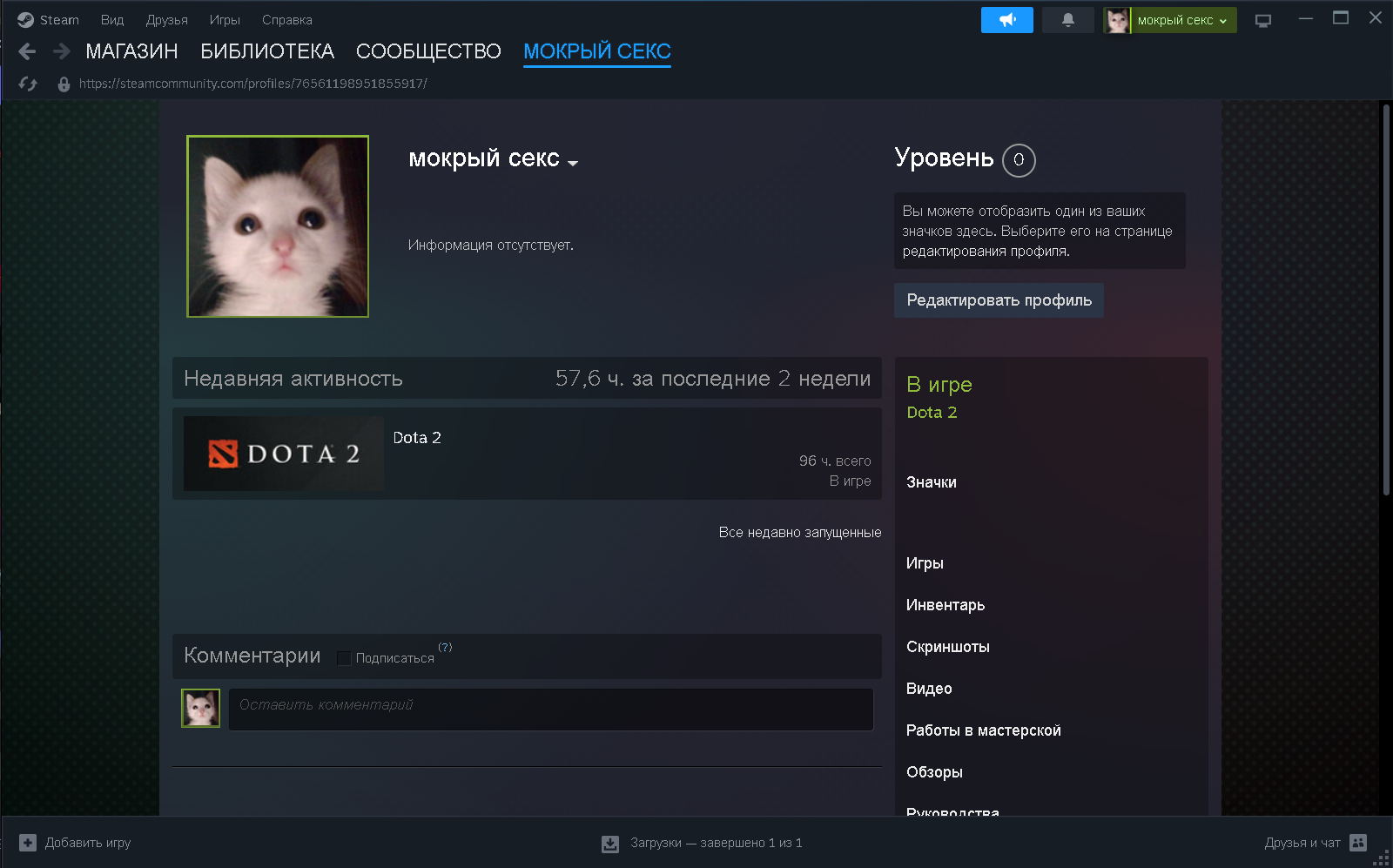 Чистый аккаунт, 100 часов, не калиброванный, не целованный Dota 2, купить у  продавца OwslaGod — PayGame.ru