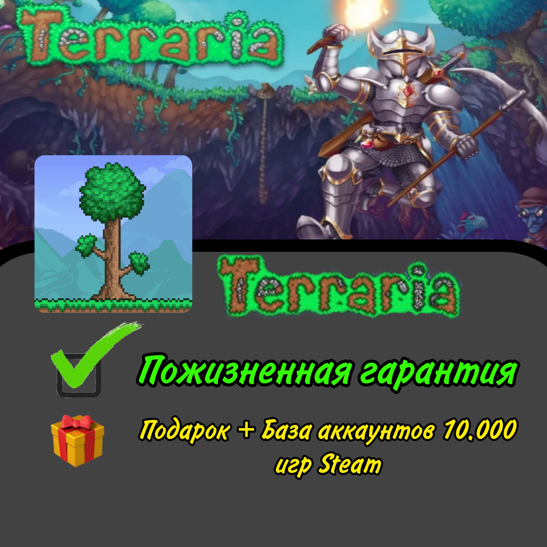 Terraria (Steam Аккаунт) | НАВСЕГДА | +10.000 ИГР STEAM | ПОЖИЗНЕННАЯ  ГАРАНТИЯ Платформа Steam, купить у продавца MegaSdelka — PayGame.ru